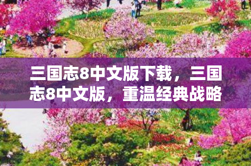 三国志8中文版下载，三国志8中文版，重温经典战略游戏的魅力