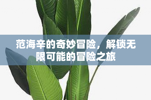 范海辛的奇妙冒险，解锁无限可能的冒险之旅