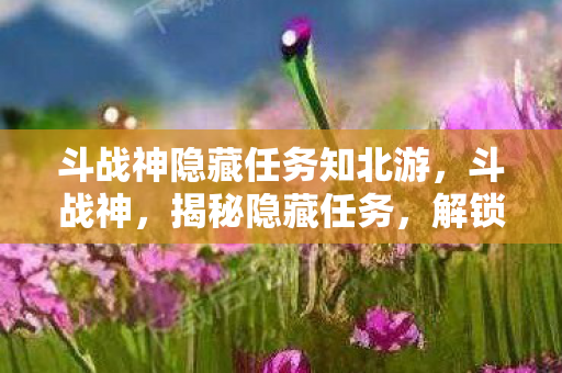 斗战神隐藏任务知北游，斗战神，揭秘隐藏任务，解锁未知冒险