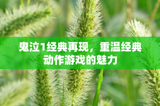 鬼泣1经典再现，重温经典动作游戏的魅力