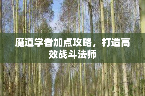 魔道学者加点攻略，打造高效战斗法师