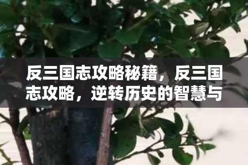 反三国志攻略秘籍，反三国志攻略，逆转历史的智慧与策略