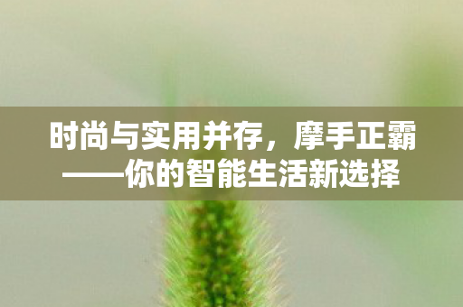 时尚与实用并存，摩手正霸——你的智能生活新选择