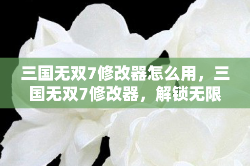 三国无双7修改器怎么用图片