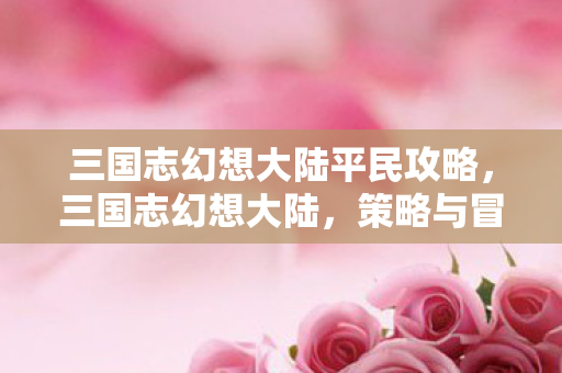 三国志幻想大陆平民攻略，三国志幻想大陆，策略与冒险的完美结合