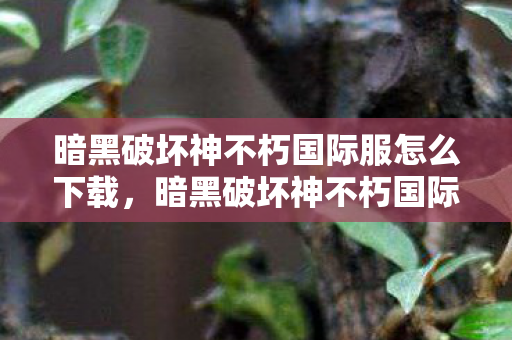 暗黑破坏神不朽国际服怎么下载，暗黑破坏神不朽国际服，探索未知世界的冒险之旅