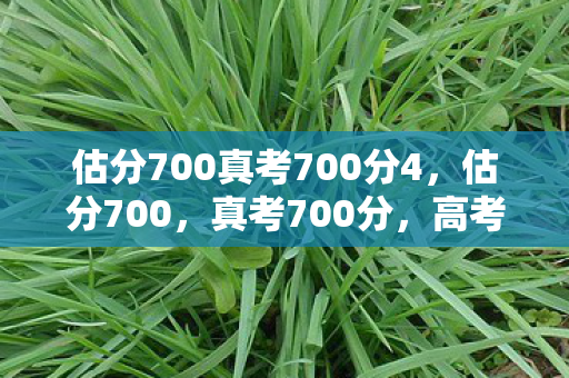 估分700真考700分4，估分700，真考700分，高考奇迹背后的努力与坚持