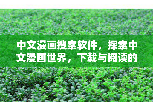 中文漫画搜索软件,探索中文漫画世界,下载与阅读的乐趣 中文漫画搜索软件,探索中文漫画世界,下载与阅读的乐趣