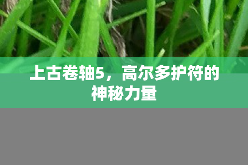 上古卷轴5，高尔多护符的神秘力量