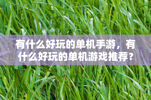 有什么好玩的单机手游，有什么好玩的单机游戏推荐？
