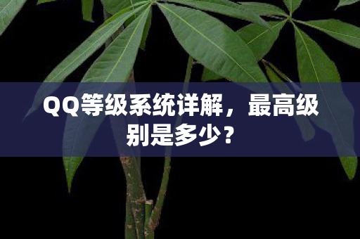 QQ等级系统详解，最高级别是多少？