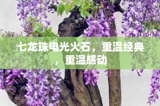 七龙珠电光火石，重温经典，重温感动