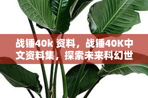 战锤40k 资料，战锤40K中文资料集，探索未来科幻世界的无尽可能