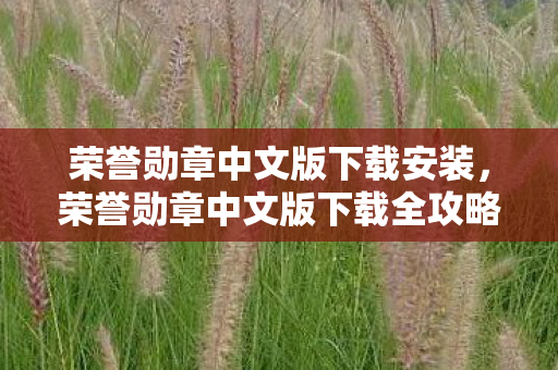 荣誉勋章中文版下载安装，荣誉勋章中文版下载全攻略