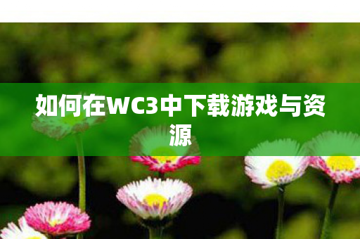 如何在WC3中下载游戏与资源