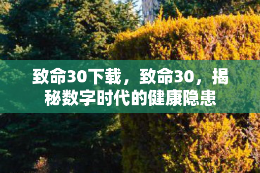 致命30下载，致命30，揭秘数字时代的健康隐患