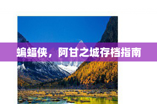 蝙蝠侠，阿甘之城存档指南