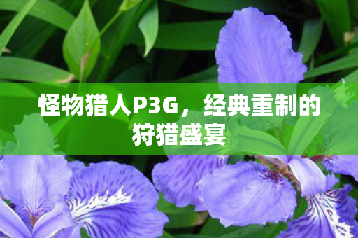 怪物猎人P3G，经典重制的狩猎盛宴
