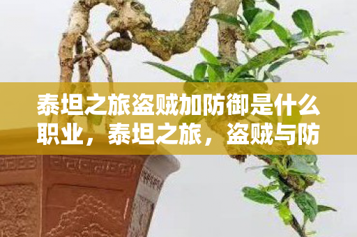 泰坦之旅盗贼加防御是什么职业，泰坦之旅，盗贼与防御的完美结合