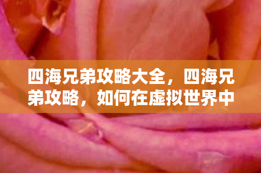 四海兄弟攻略大全，四海兄弟攻略，如何在虚拟世界中建立真实的人际关系
