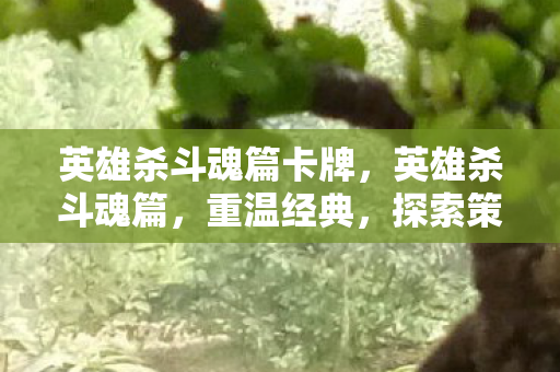 探索策略与智慧的碰撞图片