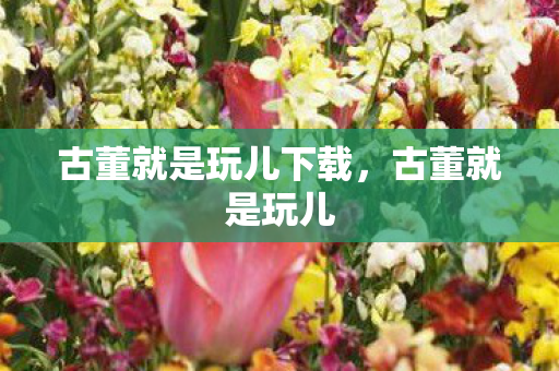 古董就是玩儿下载，古董就是玩儿