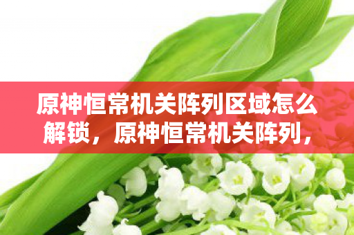 原神恒常机关阵列区域怎么解锁，原神恒常机关阵列，解密与攻略