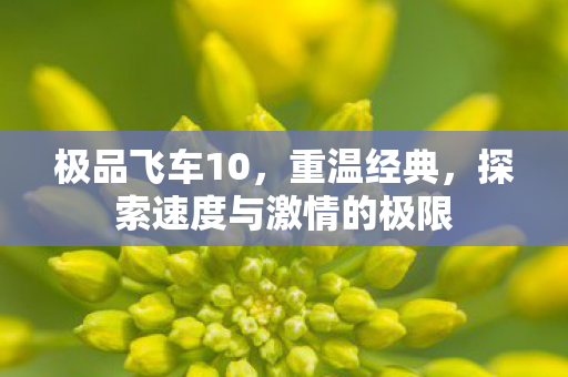 极品飞车10，重温经典，探索速度与激情的极限