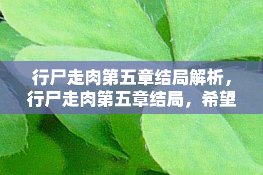 行尸走肉第五章结局解析图片