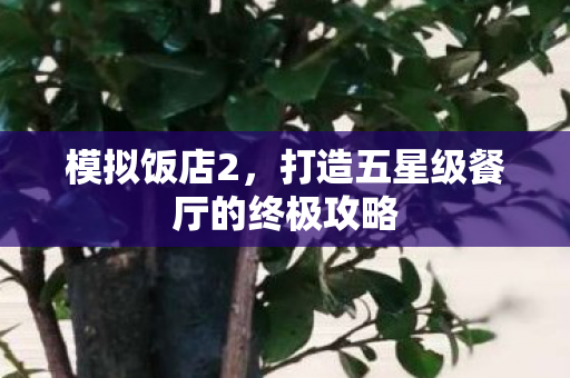 模拟饭店2，打造五星级餐厅的终极攻略