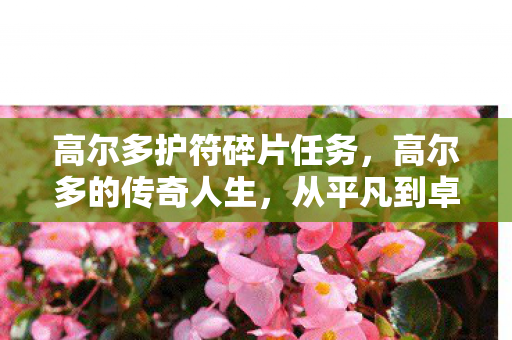 高尔多护符碎片任务，高尔多的传奇人生，从平凡到卓越的非凡旅程