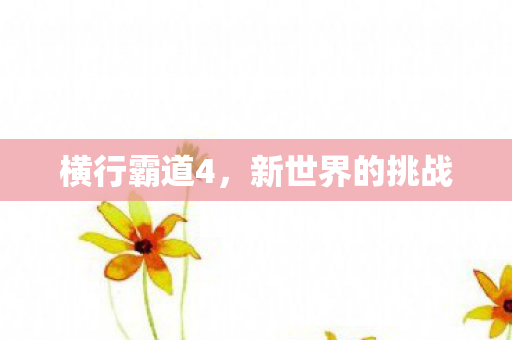 横行霸道4，新世界的挑战