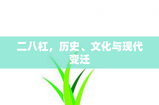 二八杠，历史、文化与现代变迁