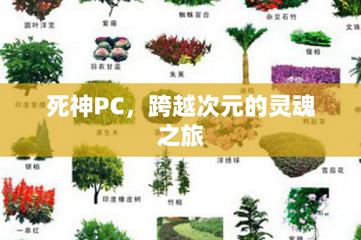 死神PC，跨越次元的灵魂之旅