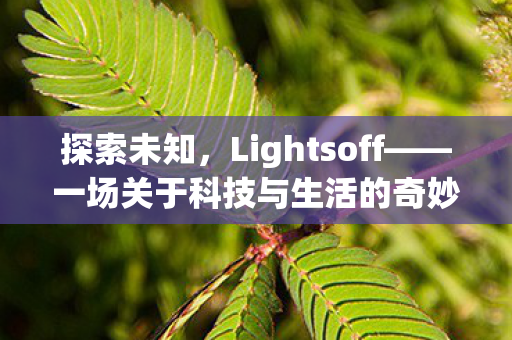 探索未知，Lightsoff——一场关于科技与生活的奇妙邂逅