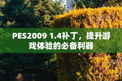 PES2009 1.4补丁，提升游戏体验的必备利器