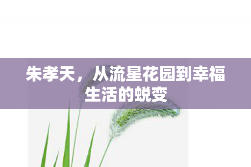 从流星花园到幸福生活的蜕变图片