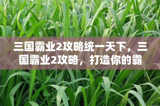 三国霸业2攻略统一天下，三国霸业2攻略，打造你的霸主之路