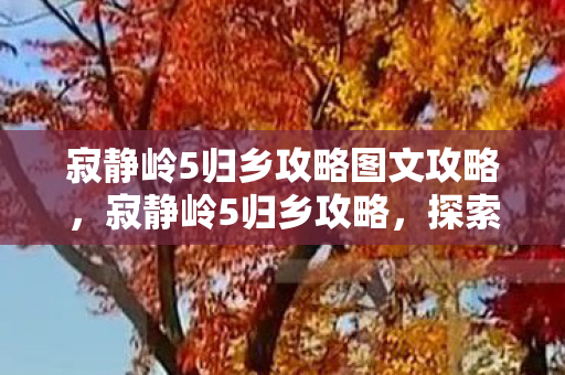 寂静岭5归乡攻略图文攻略图片