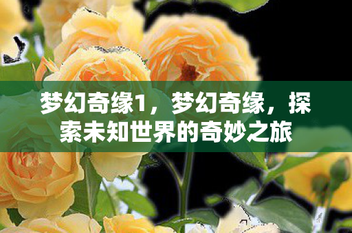 梦幻奇缘1，梦幻奇缘，探索未知世界的奇妙之旅