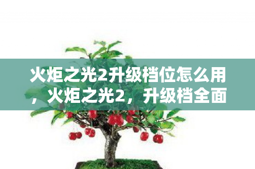 火炬之光2升级档位怎么用，火炬之光2，升级档全面解析与攻略