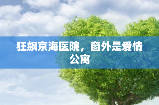 狂飙京海医院，窗外是爱情公寓