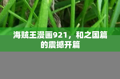 海贼王漫画921，和之国篇的震撼开篇