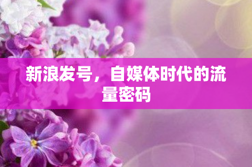 新浪发号，自媒体时代的流量密码