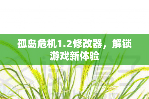 孤岛危机1.2修改器，解锁游戏新体验