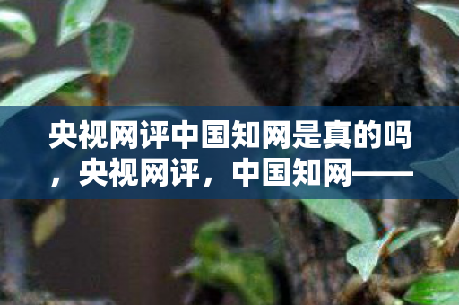 央视网评中国知网是真的吗，央视网评，中国知网——知识共享的新篇章