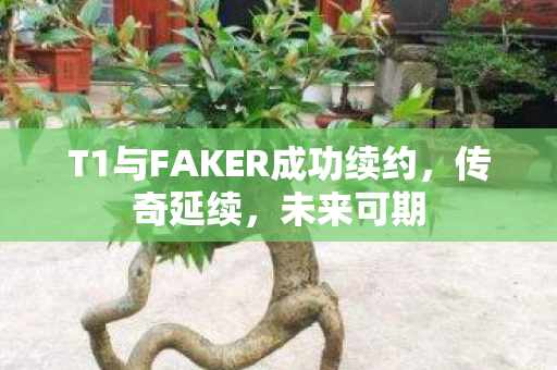 T1与FAKER成功续约，传奇延续，未来可期