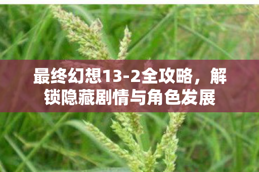 解锁隐藏剧情与角色发展图片