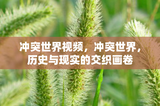 冲突世界视频，冲突世界，历史与现实的交织画卷