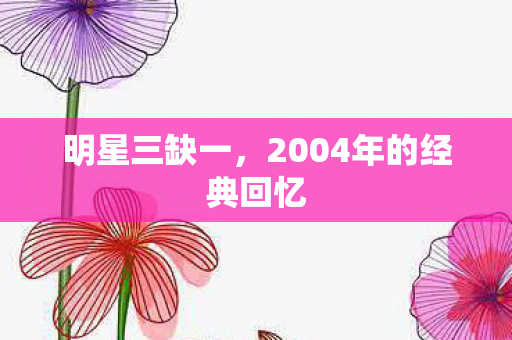 明星三缺一，2004年的经典回忆